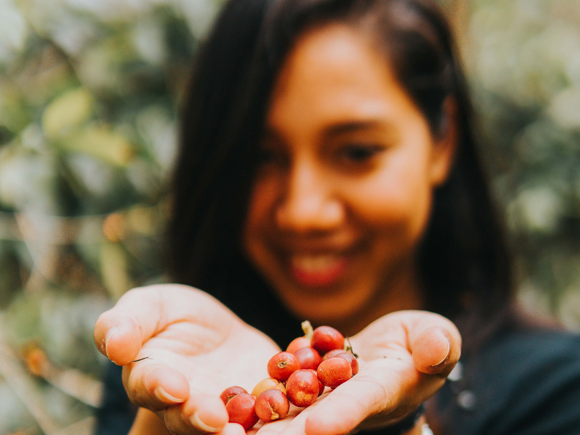 رستوران شهر